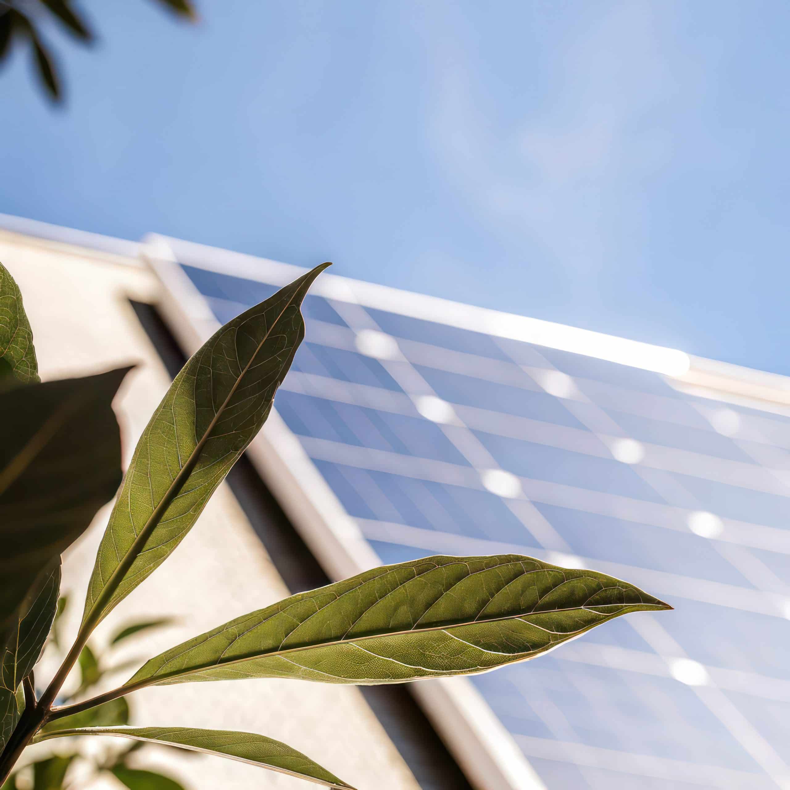 Placas solares en vivienda residencial con enfoque en sostenibilidad y energía limpia